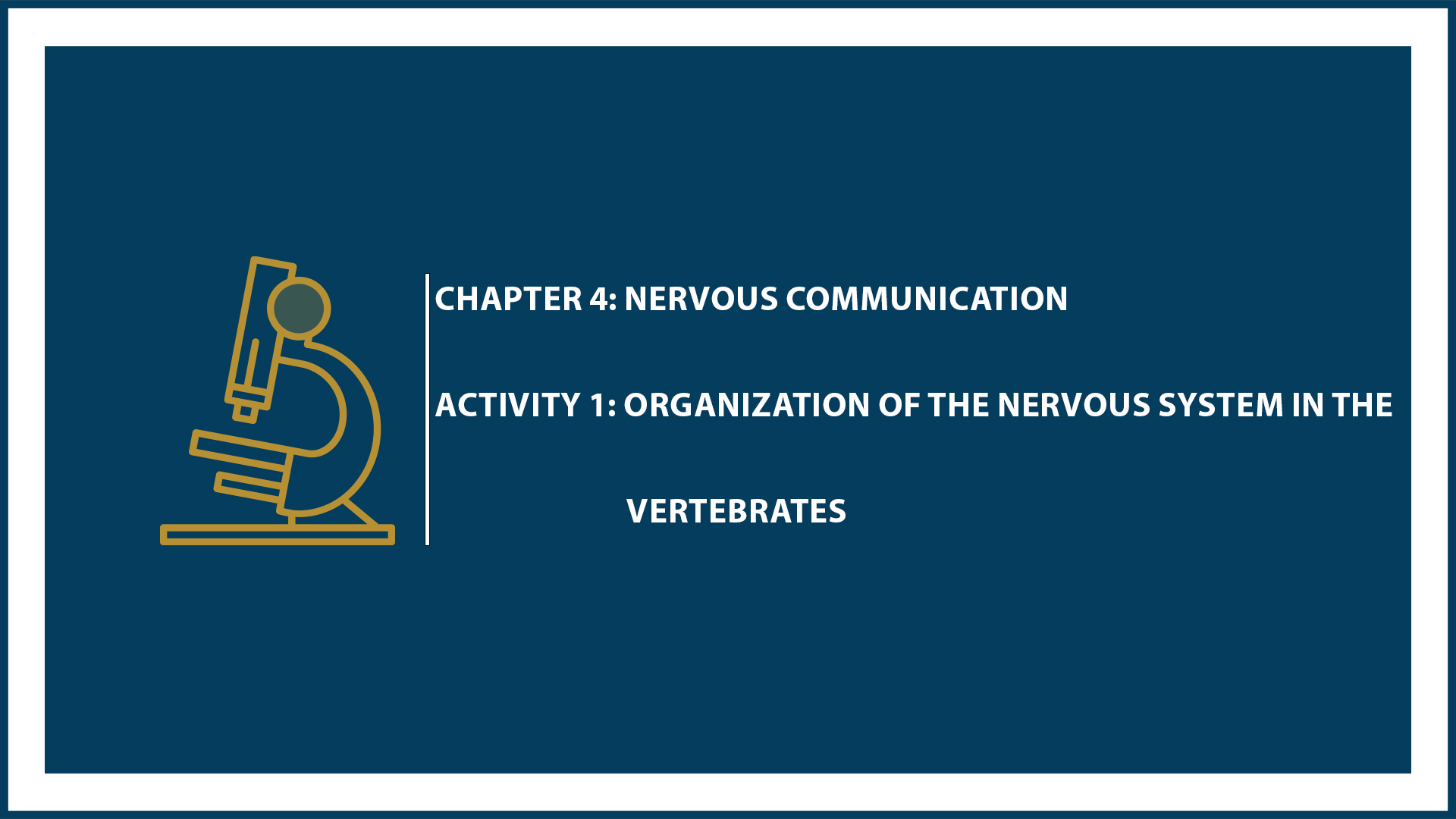 Chapter 4: Activity 1: Organization of the Nervous System in the Vertebrates